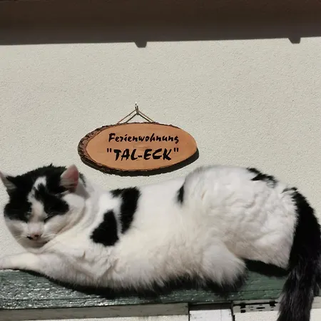 Nyaraló Tal-eck